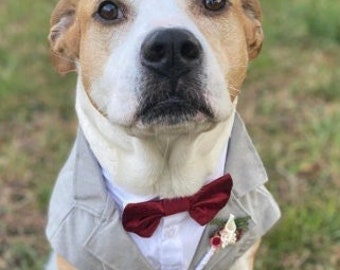 Sleeveless Dog Tuxedo, Light Gray White Shirt Dog Tuxedo, Dog Wedding attire, Luxury Suit, Light Gray Dog Suit, Custom-Made Dog Suit