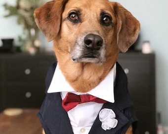 Sleeveless Dog Tuxedo, Black White Shirt Dog Tuxedo, Dog Wedding attire, Luxury Suit, Ring Bearer, Black Dog Suit, Custom-Made Dog Suit