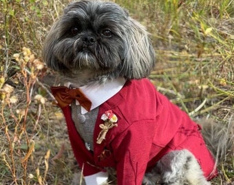Red burgundy Dog Tuxedo, Dog Suit, Dog Jacket, Dog wedding attire