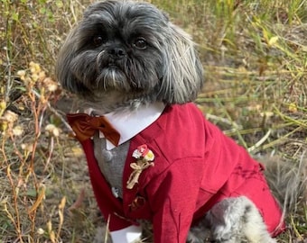 Red burgundy Dog Tuxedo, Dog Suit, Dog Jacket, Dog wedding attire