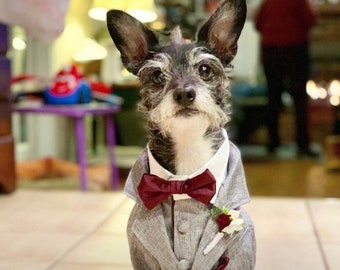 Dog Tuxedo, Dog Suit, Wedding Dog Tuxedo, Dog Wedding Attire, Grey Dog Tuxedo, Custom Dog Tuxedo, Wedding Attire, Grey Dog Tuxedo, Gray Suit