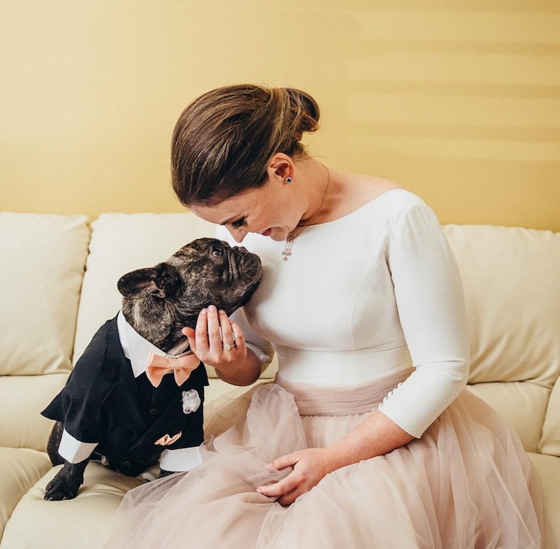 May include: A woman in a white dress with a blush pink tulle skirt is holding a French bulldog wearing a black tuxedo. The dog is looking up at the woman.