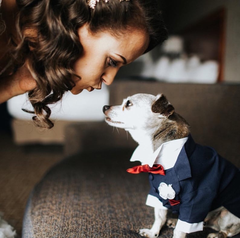 Dog Tuxedo Dog Suit Dog Wedding Attire Navy Blue Navy Blue Etsy