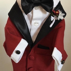 Burgundy Dog Tuxedo, Red Dog Tuxedo, Dog Wedding Attire, Dog Tuxedo, Dog Suit, Wedding image 2