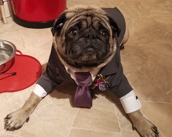 Gray dog tuxedo,Dog tuxedo,Dog wedding attire,Dog suit,Dog ring bearer, Engagement attire, Dog costume