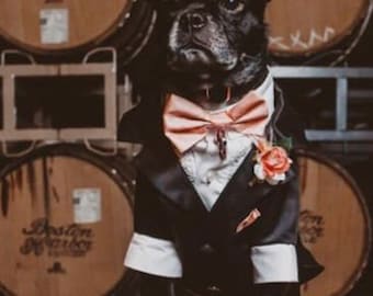 Black Satin wedding tuxedo, White Shirt Lace, Dog Suit, Dog wedding attire, Black Dog Tuxedo, Formal dog suit, Customized dog Suit