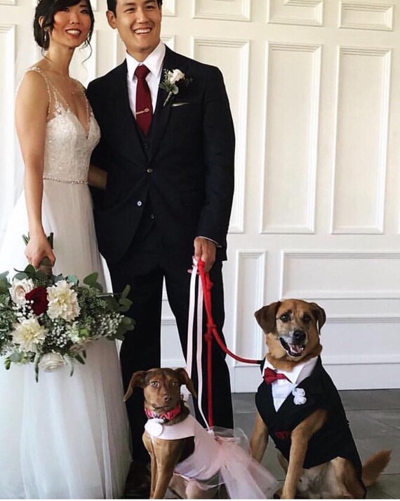 ECHO: Stylish Sleeveless Dog Tuxedo Luxury Suit dog attire  Etsy