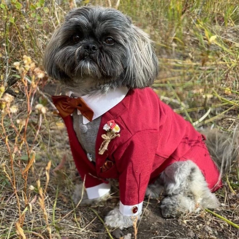 Red burgundy Dog Tuxedo, Dog Suit, Dog Jacket, Dog wedding attire image 1
