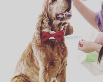 Stylish Bow Ties for Dogs