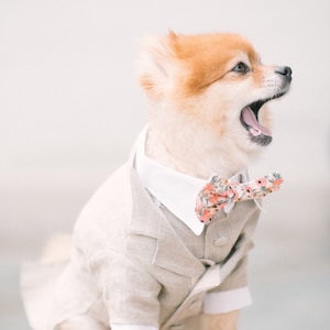 Beige Dog Tuxedo, Custom Dog Wedding Attire, Formal Dog Suit, Beige Dog Suit, Dog Wedding Attire, Dog Tuxedo, Dog Suit, Ring Bearer