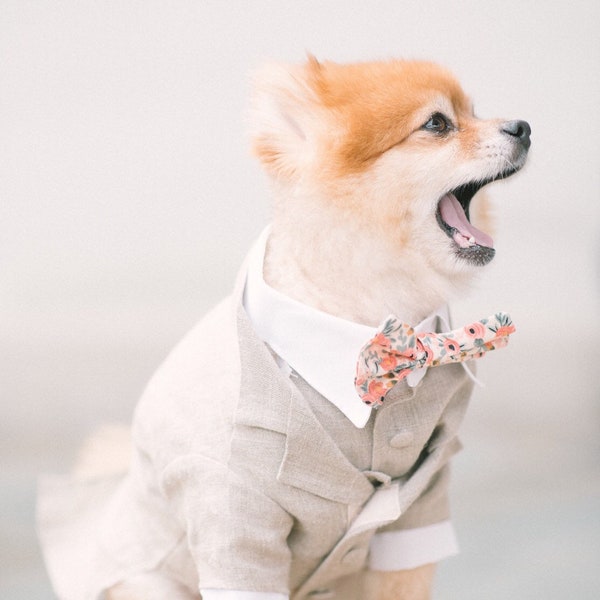 Tuxedo de chien beige, tenue de mariage de chien personnalisée, costume de chien formel, costume de chien beige, tenue de mariage de chien, smoking de chien, costume de chien, porteur d’anneau