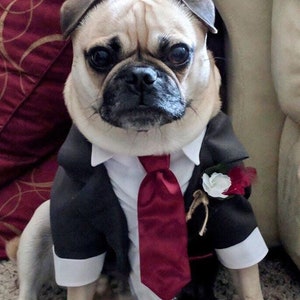Dog Suit and Tie Etsy Canada
