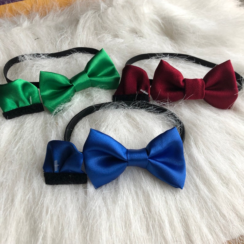 Extra Bow Tie, Matching bow tie image 2