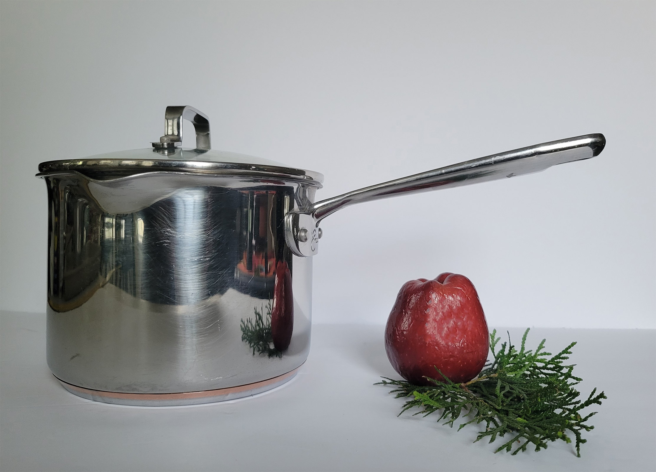 Emeril Stainless Steel 2 Qt. Saucepan With Lid