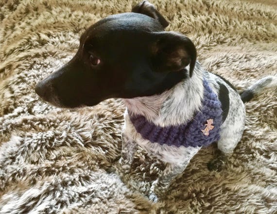 Handmade Knitted Petrol Coloured Decorative Dog Collar Etsy