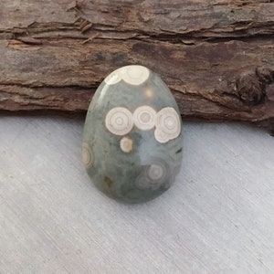 May include: A green and white ocean jasper stone with a smooth, polished surface. The stone has a unique pattern of white circles and swirls.