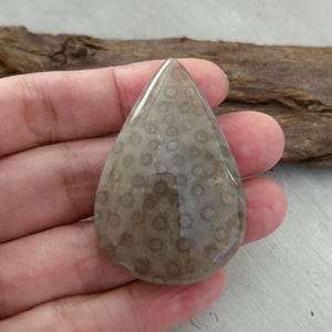 May include: A polished, teardrop-shaped gemstone with a light brown and beige pattern. The stone has a smooth, glossy surface and is held in a hand. The pattern consists of small, circular shapes, creating a unique texture. The gemstone is a natural, organic item.