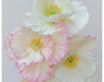 Könnte beinhalten: Ein Strauß weißer und rosa Zuckerblumen mit gelben Zentren. Die Blumen sind in einer Hand angeordnet, die Stiele zeigen nach unten. Die Blumen sind so gestaltet, dass sie wie Mohnblumen aussehen.