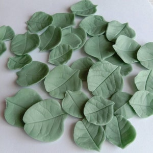 May include: A collection of green leaf-shaped decorations made of fondant or gum paste. These are perfect for adding a touch of greenery to cakes, cupcakes, or other desserts.