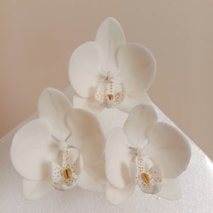 Bespoke Sugarcraft - Sets of white and gold sugar Phalaenopsis Orchids, Made to order cake topper, Good quality sugar flowers, UK supplier