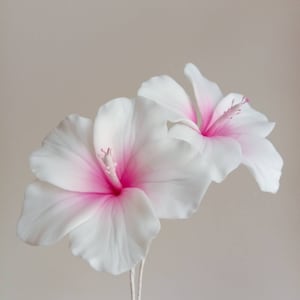 Bespoke Sugarcraft - Sets of pink and white sugar Hibiscus flower, Made to order cake toppers, High grade sugar flowers, UK supplier