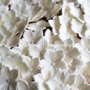 Può includere: Primo piano di numerosi fiori di zucchero color avorio, ciascuno con cinque petali e un piccolo centro. I fiori hanno una superficie strutturata. Il testo "Bespoke Sugarcraft" è visibile. Probabilmente per la decorazione di torte.