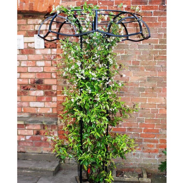 Tuteur Steel Garden Large Plant Support Made in the UK