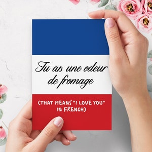 d'amour français Carte de Saint Valentin drôle | vous sentez le fromage | Carte de Saint Valentin grossière Carte d'anniversaire drôle