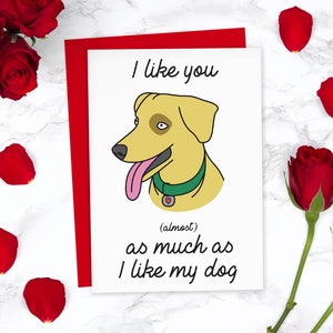 Biglietto di San Valentino divertente con amore per i cani / Mi piaci Biglietto di San Valentino maleducato / Per la fidanzata Moglie Per il fidanzato Lui Lei