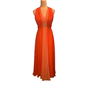 Dan Lee Courure Vintage Womens 1970s Chiffon Long Dress Retro Sheer Cape