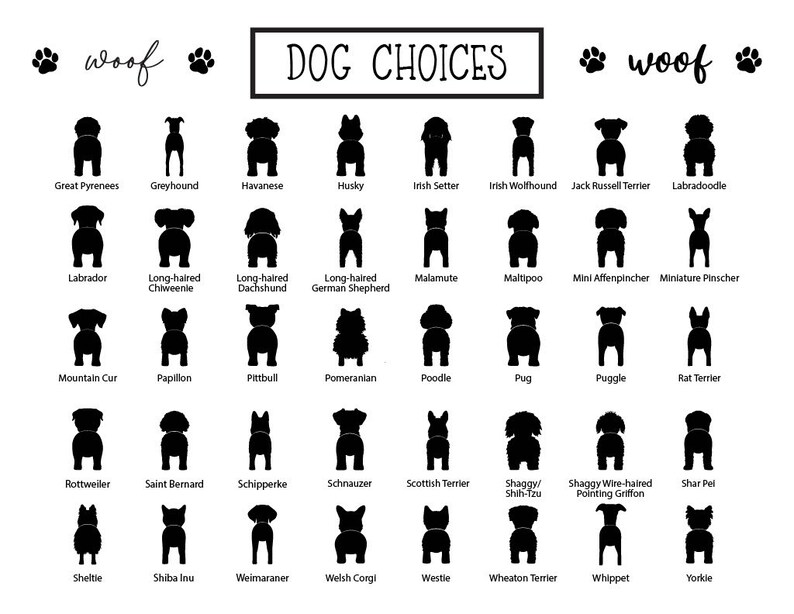 May include: A black and white graphic featuring silhouettes of various dog breeds, including a Great Pyrenees, Labrador, and Poodle. The text "DOG CHOICES" is centered at the top, with paw prints and the word "woof" on either side.