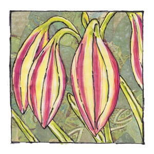 art numérique original de séries de fleurs en techniques mixtes (lys crinum)