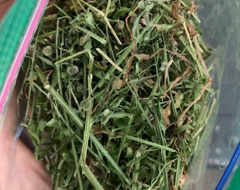 Cleavers- Galium aparine- Wildcrafted in California- Lymphatic Tonic Tea and Detox