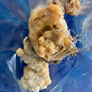 May include: Close-up of several pieces of amber-colored, textured resin, possibly frankincense or myrrh, inside a translucent blue plastic bag. The resin pieces have a rough, irregular shape and varying shades of brown and yellow.