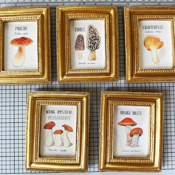 Mushroom Art in Mini Gold Frames for Wall or Tabletop