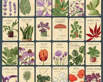 Botanica Wall Art Print