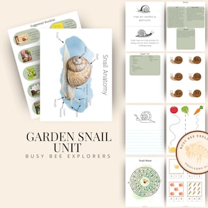 Garden Snail Unit Study