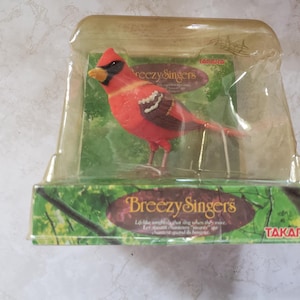 Takara Bird - Etsy