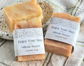 Guest Mini Soaps, Half Bar All Natural Soap, Personalized Guest Favors, Party Soap Favors, Zero Waste Gift, Custom Gift For Guests