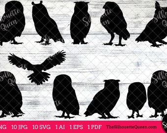 Owl Bird SVG Files Bundle, Flying Bird SVG, Sitting Bird SVG, Silhouette Studio, Cricut Design Space, Svg, Png, Eps, Pdf, Vector Design