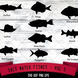 Könnte beinhalten: Ein digitaler Download von 10 Schwarzweiß-Silhouettenbildern von Salzwasserfischen, darunter Rotbarsch, Goldbrasse, Schafshead, Scamp, Segelfisch, Snook, Silberbarsch, Roter Zackenbarsch, Pompano und Seiden-Schnappfisch. Die Bilder sind mit dem Namen des Fisches beschriftet. Der Text "SALT WATER FISHES - VOL 5" befindet sich am unteren Rand des Bildes. Der Text "SVG DXF PNG EPS" befindet sich unter dem Text "SALT WATER FISHES - VOL 5". Der Text "the Silhouette Queen" befindet sich in der unteren rechten Ecke des Bildes.