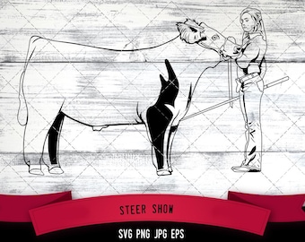 Show Steer SVG,Stock Show svg,Livestock Judging SVG File - Vector Art -Commercial & Personal Use- for Cricut,Silhouette Cameo,Vinyl Decal
