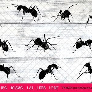 Ant Insect svg, Ant Bug monogram, Ant svg file, Ant cuttable, bundle, cut files, silhouette, cricut files, vector eps, jpg