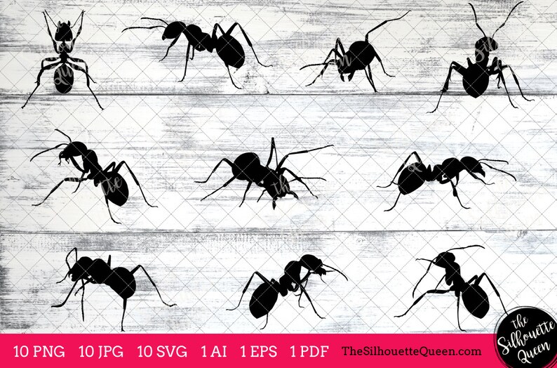 Ant Insect Svg, Ant Bug Monogram, Ant Svg File, Ant Cuttable, Bundle ...