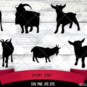 Pygmy Goat SVG,  Silhouette, Logo, Pygmy Goat  SVG Cut Files for Cricut Design, Pygmy Goat  Digital Commercial Clipart