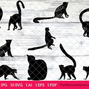 Lemur svg, Lemur monogram, Lemur svg file,cuttable, Lemur svg bundle, cut files, silhouette studio, cricut files, vector eps, jpg