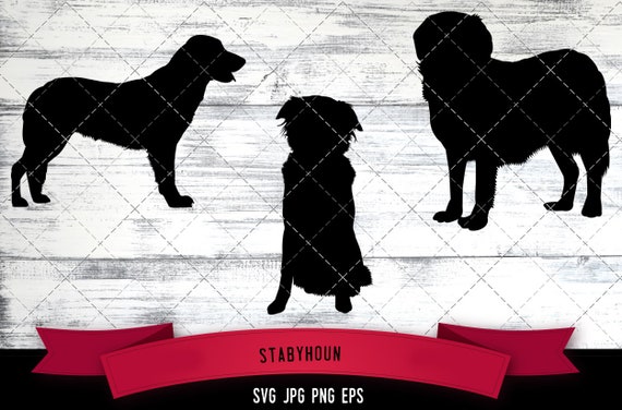 Download Stabyhoun Svg Stabji Svg Dutch Dog Svg Dog Breed Svg Puppy Etsy PSD Mockup Templates