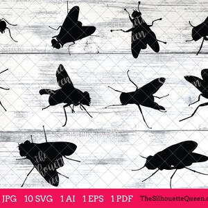 Fly Insect svg, Fly Bug monograma, Fly Bug archivo, Fly cortable, paquete, archivos cortados, silueta, archivos cricut, vector eps, jpg