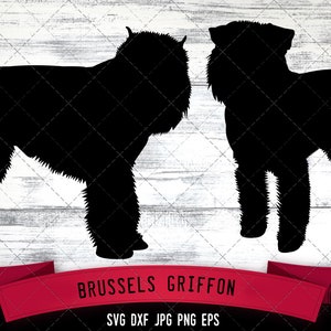 Bruxelles Griffon file in formato SVG, cane in formato SVG, file di silhouette, Cricut file, Cut file, Scan n Cut, vettore, cane amore, file di vinile, EPS, DXF, png