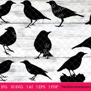 Thrush Bird SVG Files Bundle, Flying Bird SVG, Sitting Bird SVG, Silhouette Studio, Cricut Design Space, Svg, Png, Eps, Pdf, Vector Design